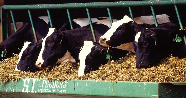 India US Trade Deal 2025