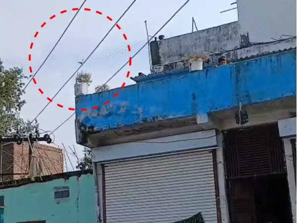 High Tension Line Accident, Bhopal News, Raisen News, Raksha Bandhan Accident, बिजली विभाग लापरवाही, Gandhi Nagar High Tension Wire, CM Helpline Complaint, Desh Harpal News