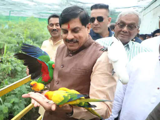 Indore चिड़ियाघर पहुंचे CM Mohan Yadav, बच्चों की तरह पक्षियों को खिलाया दाना