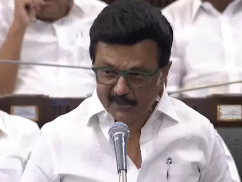 Tamil Nadu में Hindi पर Ban! Films और Songs तक पर रोक का बिल तैयार