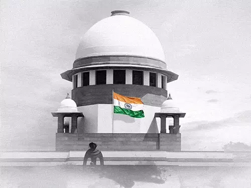 आवारा कुत्तों पर Supreme Court में सुनवाई, अदालत की तीखी टिप्पणी