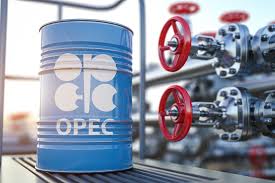 OPEC से UAE अलग? India को Relief, Pakistan पर Economic Pressure