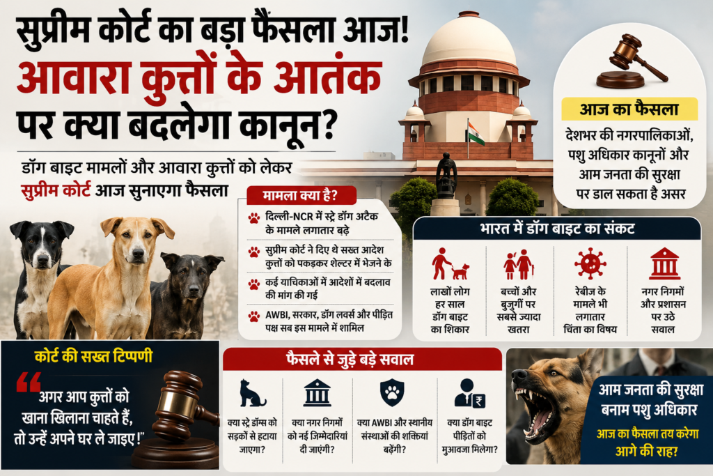 Supreme Court Stray Dogs Verdict