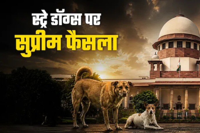 Supreme Court सख्त: खतरनाक कुत्तों को दें मौत का इंजेक्शन
