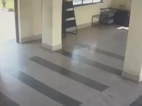नया रायपुर के IIIT हॉस्टल में चोरी: स्टूडेंट बनकर घुसा युवक, 20 मिनट में 10 लैपटॉप लेकर फरार
