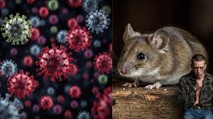 Hantavirus Update: क्रूज पर 7 केस मिले, Human Transmission की खबर से बढ़ी टेंशन
