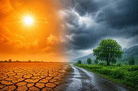Monsoon