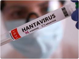Hantavirus