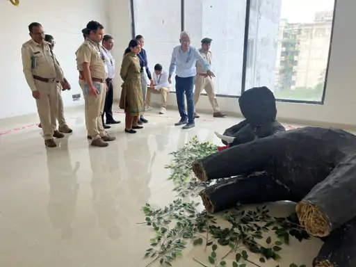 हाथियों की मौत अब मानी जाएगी संभावित क्राइम सीन: छत्तीसगढ़ वन विभाग की नई पहल