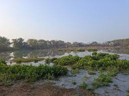 Rainfall Crisis