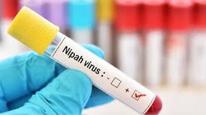 Kerala Nipah Virus Update: कोझिकोड में नया केस, अस्पताल स्टाफ क्वारंटीन, सरकार अलर्ट मोड में