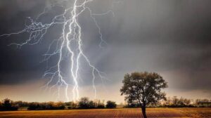 Weather
