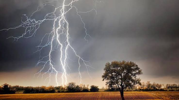 India Weather UP-Bihar में बारिश बनी आफत, MP-Gujarat में रुका Monsoon, Delhi में भीषण गर्मी