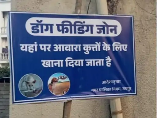 रायपुर में आवारा कुत्तों के लिए बने फीडिंग जोन: 70 वार्डों में तय हुई जगहें, अब वहीं खिलाना होगा खाना