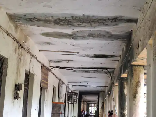 बिलासपुर की 65 साल पुरानी कंपोजिट बिल्डिंग जर्जर, कर्मचारियों ने कलेक्टर से लगाई सुधार की गुहार