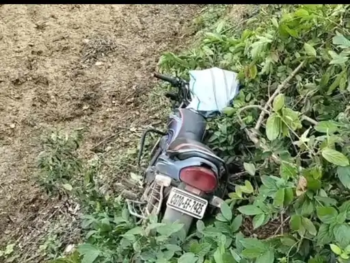 बिलासपुर में मछली चोरी का वीडियो बनाना पड़ा भारी, चौकीदार की पीट-पीटकर हत्या, 3 लोग हिरासत में