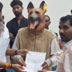 खंडवा में आवारा कुत्तों की नसबंदी और टीकाकरण के लिए 21 लाख का टेंडर, 5 सितंबर तक आवेदन