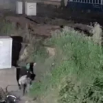 जबलपुर में सिग्नल केबल चोरी से थमी 4 ट्रेनों की रफ्तार, सोलर कैमरों से पकड़ा गया आरोपी