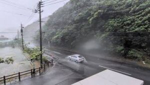 Dolphin Typhoon