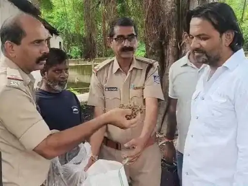 खंडवा में 540 ग्राम गांजा बरामद, एक आरोपी गिरफ्तार; 2019 में भी दर्ज था लूट का केस