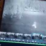 जूनागढ़ में तेंदुए का खौफ, 6 साल की बच्ची पर हमला कर मार डाला; CCTV वीडियो आया सामने