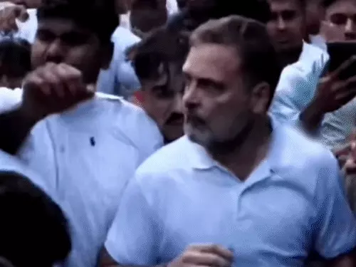 राहुल गांधी पर महिला पत्रकार से धक्का-मुक्की का आरोप, BJP ने वीडियो शेयर कर उठाए सवाल