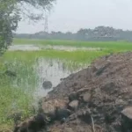 भोपाल के केरवा डैम के अतिक्रमणों की होगी जांच, NGT ने कमेटी को दिए निरीक्षण के निर्देश