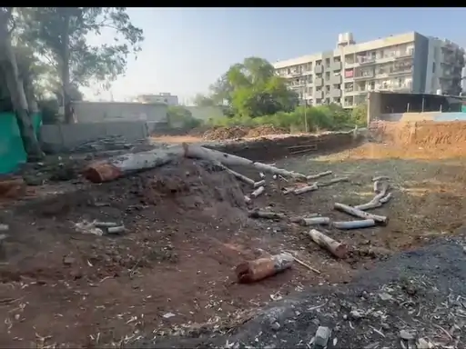 बिलासपुर में निर्माणाधीन कॉम्प्लेक्स में नीलगिरी के पेड़ काटे, बिल्डर को नोटिस जारी