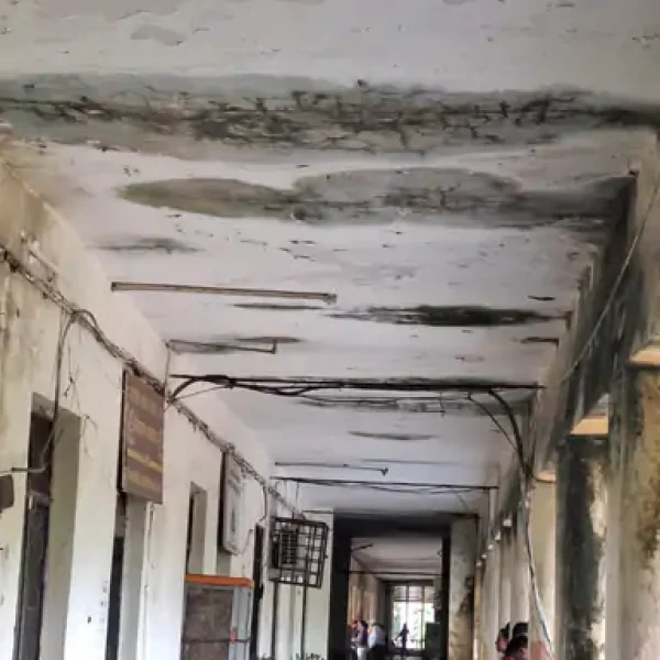 बिलासपुर की 65 साल पुरानी कंपोजिट बिल्डिंग जर्जर, कर्मचारियों ने कलेक्टर से लगाई सुधार की गुहार