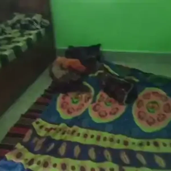 सागर में घर में घुसी कोबरा नागिन: सो रही बच्ची के तकिए के पास बैठी, समय रहते टली बड़ी घटना