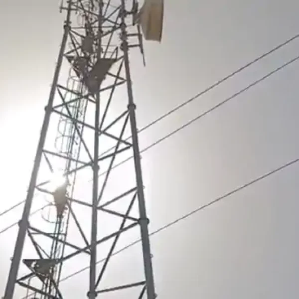 गुना में पारिवारिक विवाद से परेशान विवाहिता मोबाइल टावर पर चढ़ी, 3 घंटे बाद प्रशासन ने सुरक्षित उतारा