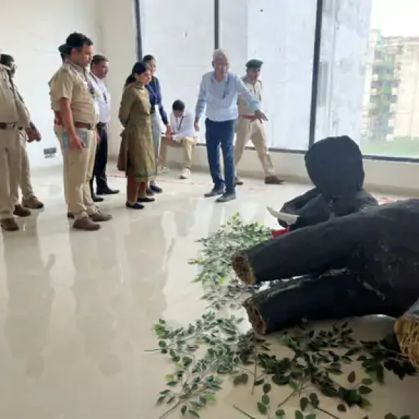हाथियों की मौत अब मानी जाएगी संभावित क्राइम सीन: छत्तीसगढ़ वन विभाग की नई पहल