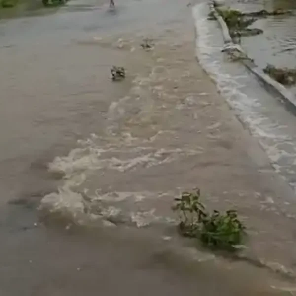 सीहोर में मानसून सक्रिय, 24 घंटे में 0.07 इंच बारिश; अगले 48 घंटे भी बारिश के आसार
