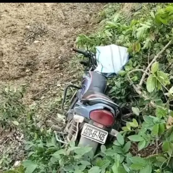 बिलासपुर में मछली चोरी का वीडियो बनाना पड़ा भारी, चौकीदार की पीट-पीटकर हत्या, 3 लोग हिरासत में