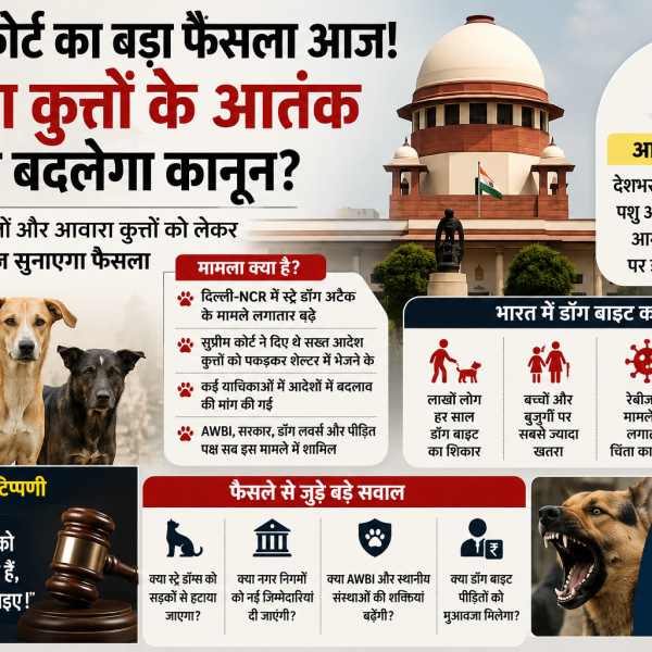 Supreme Court Stray Dogs Verdict