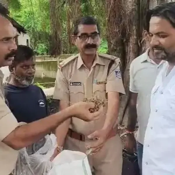 खंडवा में 540 ग्राम गांजा बरामद, एक आरोपी गिरफ्तार; 2019 में भी दर्ज था लूट का केस