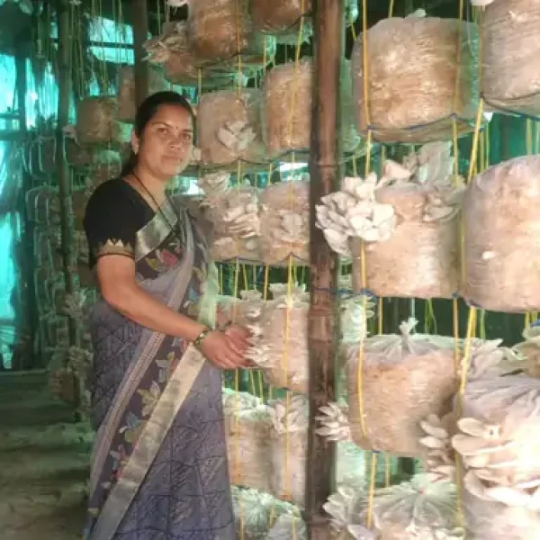 अंबिकापुर की सुरबिल दास बनीं मशरूम उत्पादन की नेशनल ट्रेनर, 500 से अधिक लोगों को दे चुकी हैं प्रशिक्षण