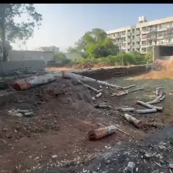 बिलासपुर में निर्माणाधीन कॉम्प्लेक्स में नीलगिरी के पेड़ काटे, बिल्डर को नोटिस जारी