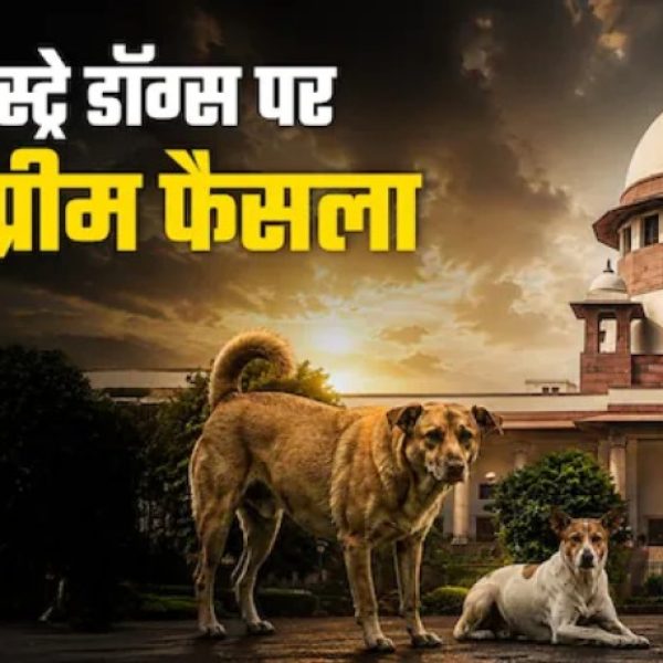 Supreme Court सख्त: खतरनाक कुत्तों को दें मौत का इंजेक्शन