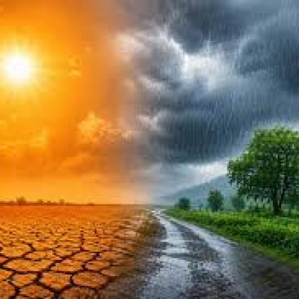 Monsoon