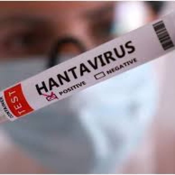 Hantavirus