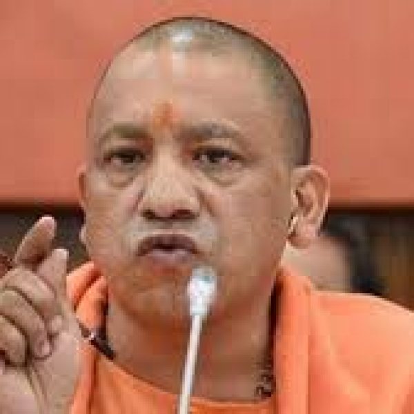 Yogi