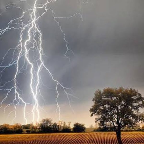 Weather