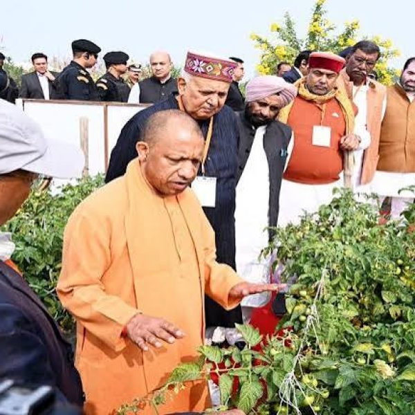 UP Green Mission