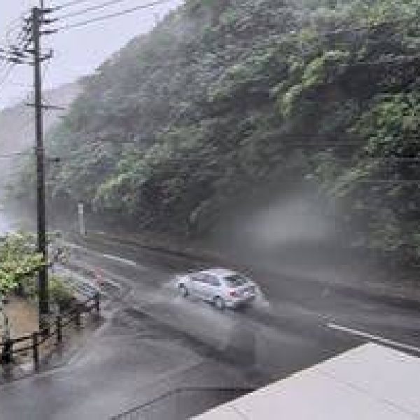 Dolphin Typhoon