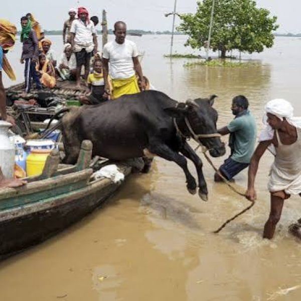 Bihar