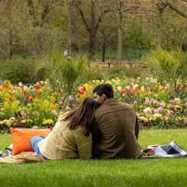 Shaheen Bhatt Engagement: इंटरनेशनल स्विमर और फिटनेस कोच ईशान मेहरा से सगाई, बॉलीवुड से दूर है दूल्हा