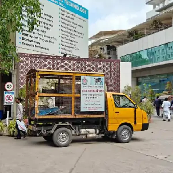 इंदौर में खूंखार कुत्ते का आतंक, 40 से ज्यादा लोगों को काटा, अस्पताल स्टाफ भी घायल