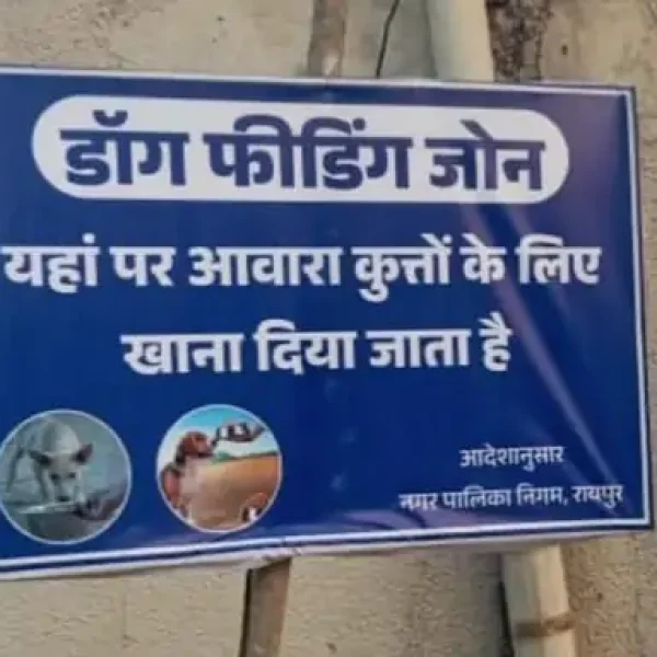 रायपुर में आवारा कुत्तों के लिए बने फीडिंग जोन: 70 वार्डों में तय हुई जगहें, अब वहीं खिलाना होगा खाना